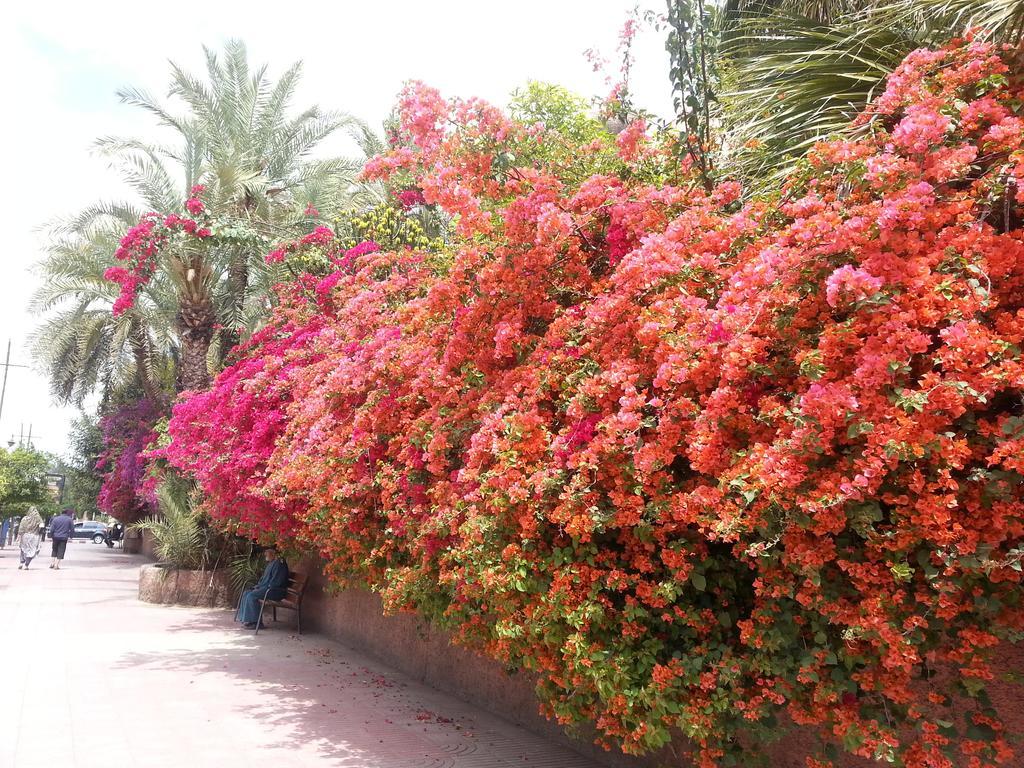 Hotel Riad Des Etoiles Marrakesch Exterior foto